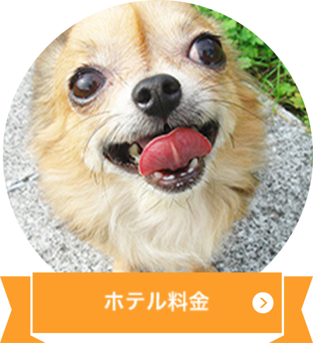 ホテル料金